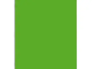 CAHIER PIQUÉ CONQUÉRANT CLASSIQUE COUVERTURE POLYPROPYLÈNE RIGIDE TRANSPARENTE A5+ 17X22CM 96 PAGES 90G SÉYÈS VERT