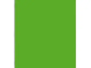 CAHIER PIQUÉ CONQUÉRANT CLASSIQUE COUVERTURE POLYPROPYLÈNE RIGIDE TRANSPARENTE A4 21X29,7CM 96 PAGES 90G SÉYÈS VERT