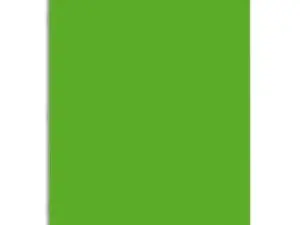 CAHIER PIQUÉ CONQUÉRANT CLASSIQUE COUVERTURE POLYPROPYLÈNE RIGIDE TRANSPARENTE A4+ 24X32CM 96 PAGES 90G SÉYÈS VERT