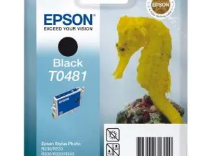 CARTOUCHE EPSON T0481 JET D'ENCRE C13T04814010 COULEUR NOIR 570P