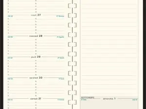 AGENDA EXACOMPTA SEMAINIER POCHE ESPACE 17 CASSANDRA SPIRALE 90X170MM COLORIS ASSORTIS