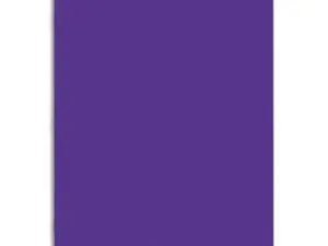 CAHIER PIQUÉ CONQUÉRANT CLASSIQUE COUVERTURE POLYPROPYLÈNE RIGIDE TRANSPARENTE A5+ 17X22CM 96 PAGES 90G SÉYÈS VIOLET