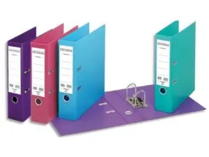 CLASSEUR LEVIER ESSELTE CHROMOS PLUS A4 POLYPROPYLÈNE GRIFFES BLOCAGE DOS 80MM GRAND PORTE-ÉTIQUETTE COLORIS ASSORTIS