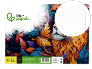 BLOC LIDERPAPEL PAPIER DESSIN ARTISTIQUE ENCOLLÉ SANS ENCADREMENT 180G/M2 FORMAT A4+ 230X325MM 20F
