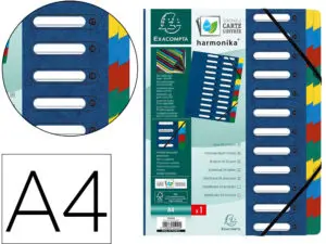 TRIEUR EXACOMPTA HARMONIKA CARTE LUSTRÉE 24 COMPARTIMENTS FENÊTRES DOS EXTENSIBLE ONGLETS MULTICOLORES COLORIS ASSORTIS