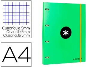 CLASSEUR ANTARTIK 4 ANNEAUX RONDS 25MM A4 CARTON REMBORDÉ FEUILLETS MOBILES QUADRILLAGE 5MM COLORIS VERT